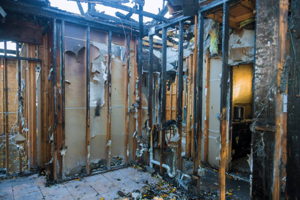 Professional Fire Damage Removal technician working in Tonganoxie, KS